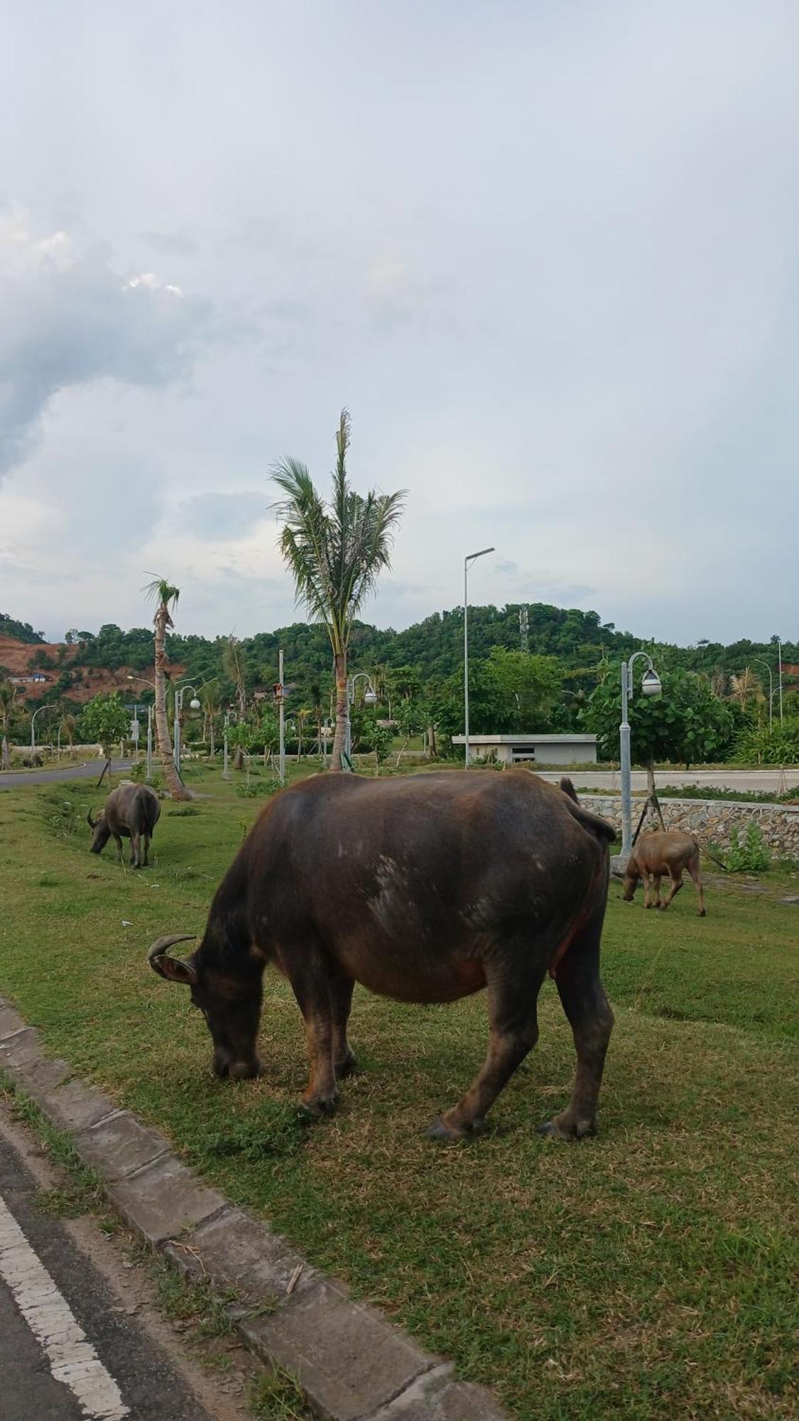 Roby Homestay Kuta  Exterior photo